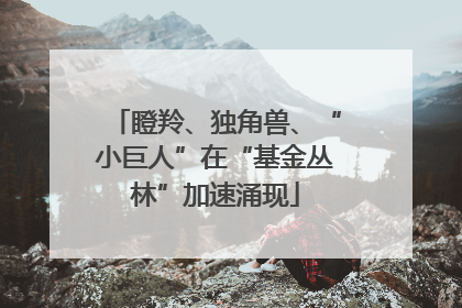 瞪羚、独角兽、“小巨人”在“基金丛林”加速涌现