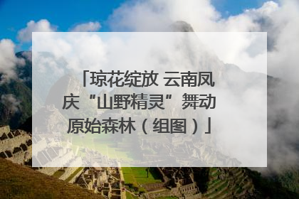 琼花绽放 云南凤庆“山野精灵”舞动原始森林（组图）