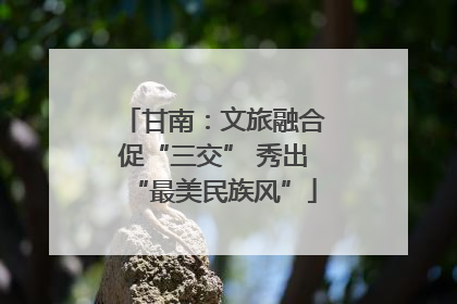 甘南：文旅融合促“三交” 秀出“最美民族风”