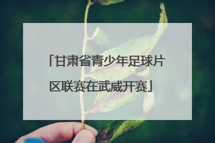 甘肃省青少年足球片区联赛在武威开赛