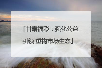 甘肃福彩：强化公益引领 重构市场生态