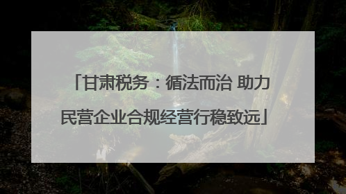 甘肃税务：循法而治 助力民营企业合规经营行稳致远
