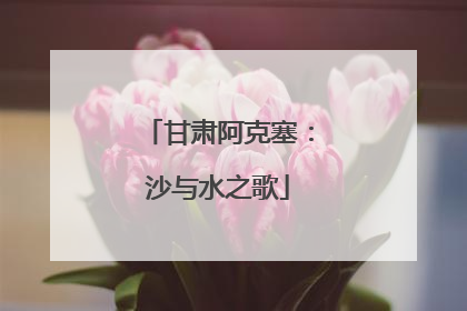 甘肃阿克塞：沙与水之歌