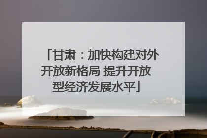 甘肃：加快构建对外开放新格局 提升开放型经济发展水平