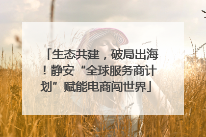 生态共建，破局出海！静安“全球服务商计划”赋能电商闯世界