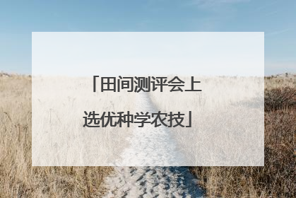 田间测评会上选优种学农技