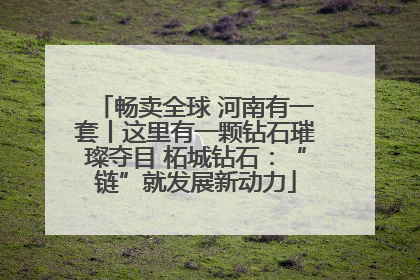 畅卖全球 河南有一套丨这里有一颗钻石璀璨夺目 柘城钻石：“链”就发展新动力