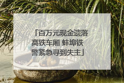 百万元现金遗落高铁车厢 蚌埠铁警紧急寻到失主