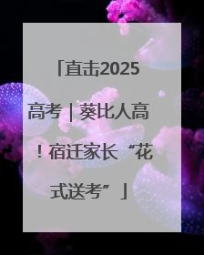 直击2025高考｜葵比人高！宿迁家长“花式送考”