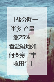 盐分降一半多 产量涨25% 看盐碱地如何变身“丰收田”