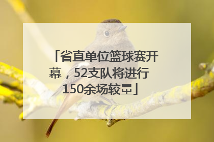 省直单位篮球赛开幕，52支队将进行150余场较量