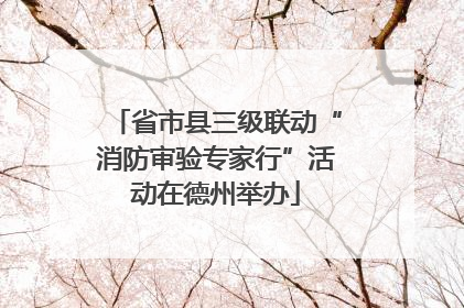 省市县三级联动“消防审验专家行”活动在德州举办