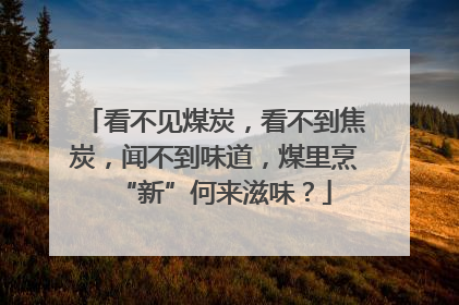 看不见煤炭，看不到焦炭，闻不到味道，煤里烹“新”何来滋味？