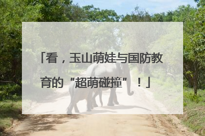 看，玉山萌娃与国防教育的“超萌碰撞”！
