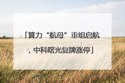 算力“航母”重组启航，中科曙光复牌涨停