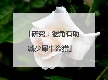研究：锯角有助减少犀牛盗猎