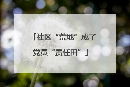 社区“荒地”成了党员“责任田”