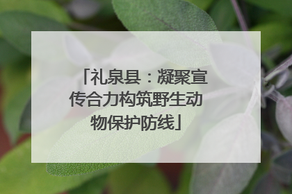 礼泉县：凝聚宣传合力构筑野生动物保护防线