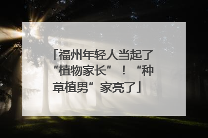福州年轻人当起了“植物家长”！“种草植男”家亮了