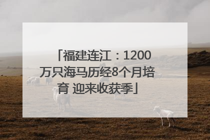 福建连江：1200万只海马历经8个月培育 迎来收获季