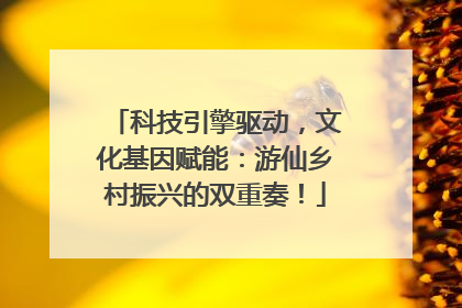 科技引擎驱动，文化基因赋能：游仙乡村振兴的双重奏！