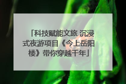科技赋能文旅 沉浸式夜游项目《今上岳阳楼》带你穿越千年