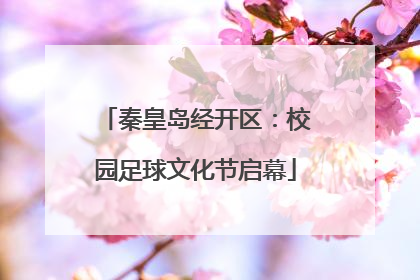 秦皇岛经开区：校园足球文化节启幕