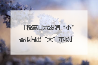 税惠甘霖滋润“小”香瓜闯出“大”市场