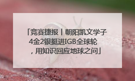 竞赛捷报丨朝阳凯文学子4金2银挺进IGB全球轮，用知识回应地球之问