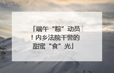 端午“粽”动员！内乡法院干警的甜蜜“食”光