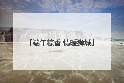 端午粽香 情暖狮城