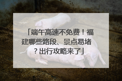 端午高速不免费！福建哪些路段、景点易堵？出行攻略来了