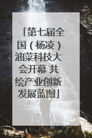 第七届全国（杨凌）油菜科技大会开幕 共绘产业创新发展蓝图
