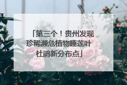 第三个！贵州发现珍稀濒危植物睡莲叶杜鹃新分布点