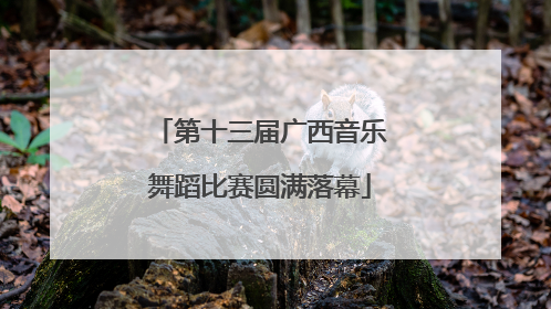 第十三届广西音乐舞蹈比赛圆满落幕