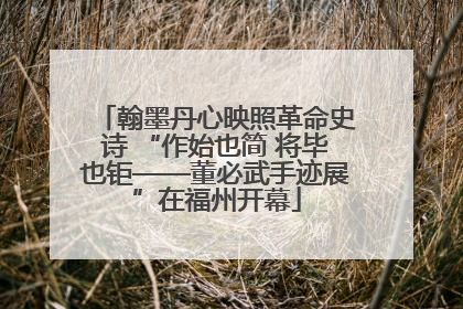 翰墨丹心映照革命史诗 “作始也简 将毕也钜——董必武手迹展”在福州开幕