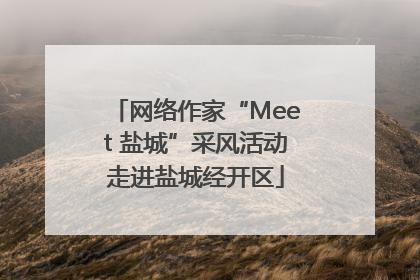 网络作家“Meet 盐城”采风活动走进盐城经开区