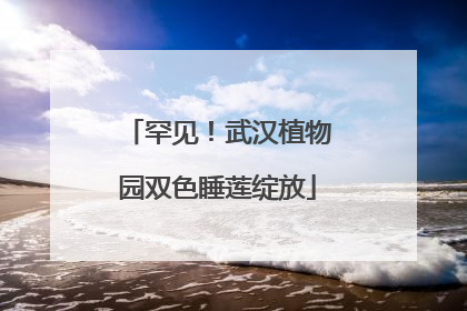 罕见！武汉植物园双色睡莲绽放