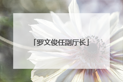 罗文俊任副厅长