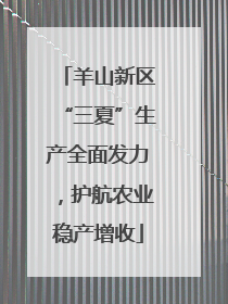 羊山新区“三夏”生产全面发力，护航农业稳产增收