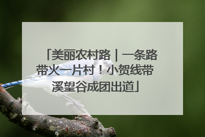 美丽农村路｜一条路带火一片村！小贺线带溪望谷成团出道