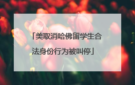美取消哈佛留学生合法身份行为被叫停