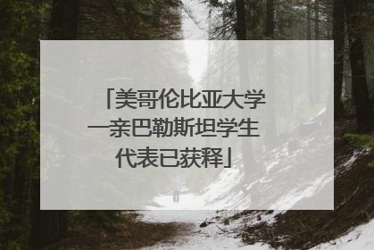 美哥伦比亚大学一亲巴勒斯坦学生代表已获释
