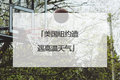 美国纽约遭遇高温天气