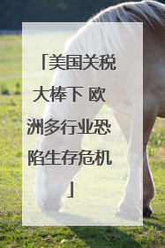 美国关税大棒下 欧洲多行业恐陷生存危机