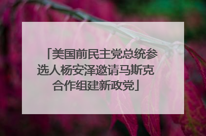 美国前民主党总统参选人杨安泽邀请马斯克合作组建新政党