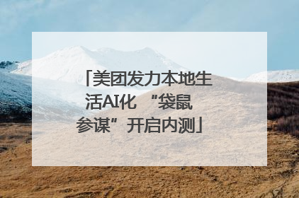 美团发力本地生活AI化 “袋鼠参谋”开启内测