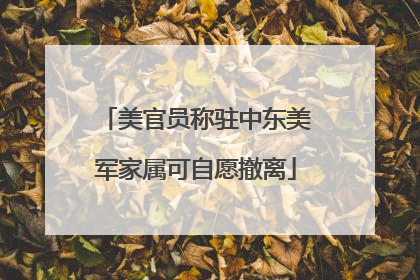 美官员称驻中东美军家属可自愿撤离