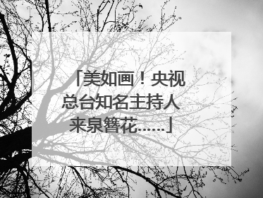 美如画！央视总台知名主持人来泉簪花……