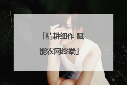 精耕细作 赋能农网终端
